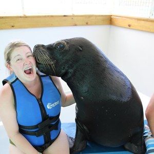 Meet your Posher, Kellie